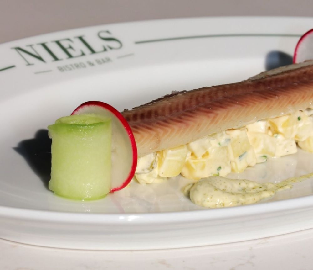 Wat is een visschaal?